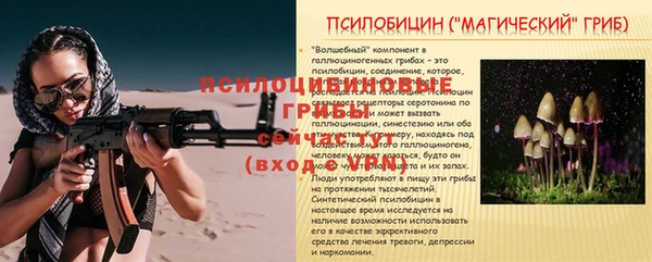 Альфа ПВП Аркадак
