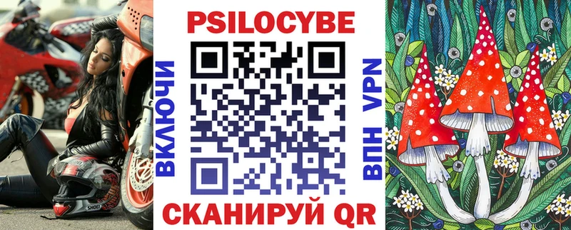 Галлюциногенные грибы Psilocybe  Артёмовский 